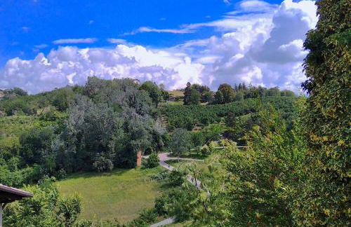 AMAZING LANGHE AND MONFERRATO | House with garden - Foto 24