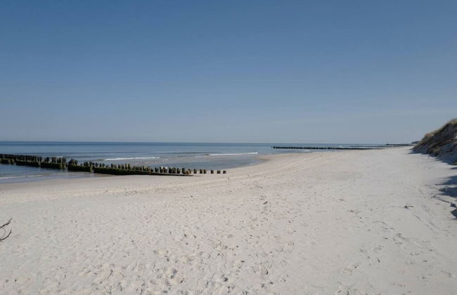 Art Forrest 33 K in Rogowo - Photo 16