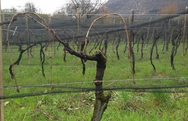 Agriturismo Al Vecchio Portico - Photo 55