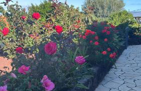 Apartamentos Los Aljibes - Foto 11