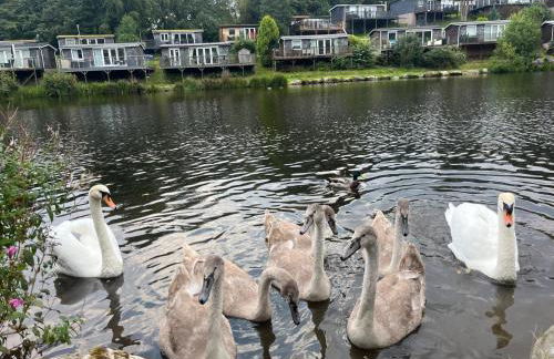 Dillons Lakeside Lodge - Photo 16