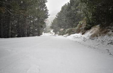 Apt confortable au pied des pistes et de la forêt - Foto 64