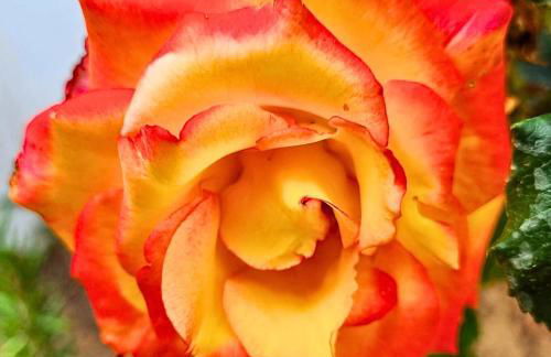 Infinity Wellness Apartment Hotel - Foto 146