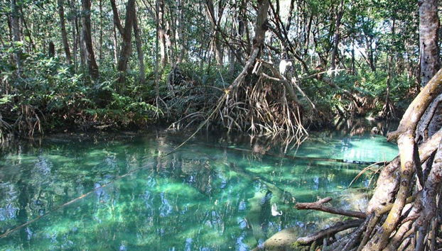 Celestún Day Trip - Photo 4