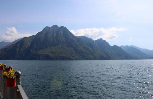 Alex's lake house - Foto 27