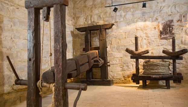 Olive Oil Museum Guided Tour & Olive Oil Tasting - Foto 5