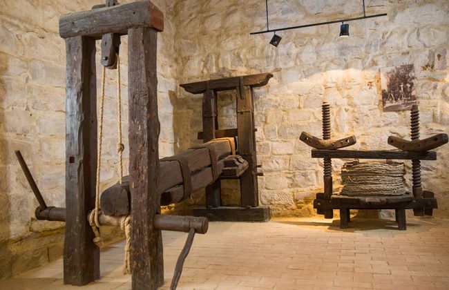 Visita guidata del Museo dell'Ulivo + Degustazione - Foto 6