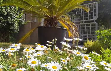 Cortile nel Conero - Foto 45