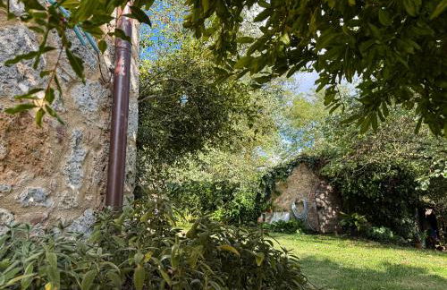 CLAUDIA VACANZA TOSCANA - Appartamento Melograno -10 min da Siena - Foto 14