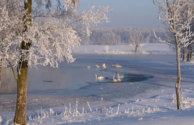 Kulturhof - Photo 23