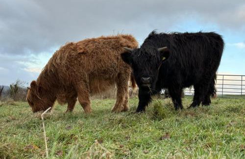 Squirrel's Drey - Photo 1