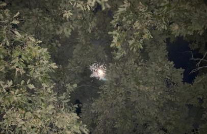 Vuelos de Montaña l - Foto 13