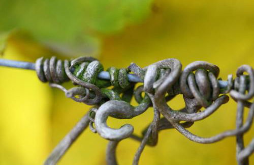 Appartement Familie Ernst - Foto 18