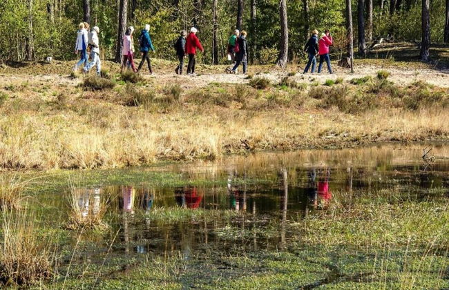 Chalet by Pond in Eindhoven Holiday Park - Photo 29