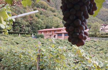 La Caigola - Foto 31