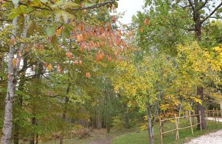 LA FIGUIERA de 1 à 4 personnes - Foto 21