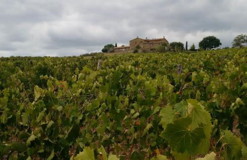 Agriturismo Podere del Vescovo - Foto 16