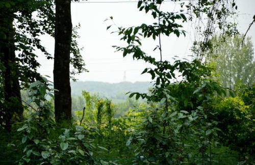 Cottage in Wierre-Effroy near Forest - Foto 18