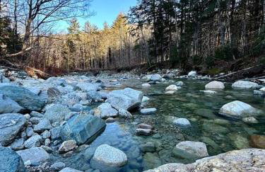 Brook Haven Retreat - Minutes to Mt Snow / Stratton, Pet Friendly! - Foto 11