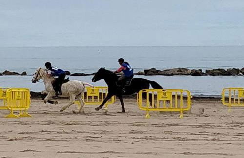 Hello Oliva Beach Alter - Photo 35