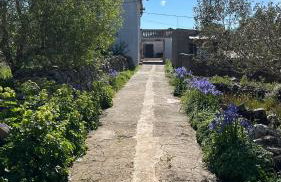 Olivier house - Foto 48