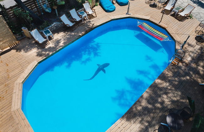 Ionian Paradise - Photo 3