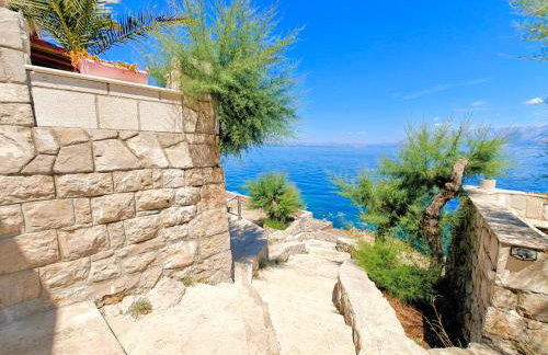 Robinson Merlot - Foto 8