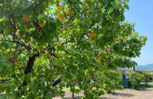 Villa Eleonas by the Sea with private pool - Foto 33