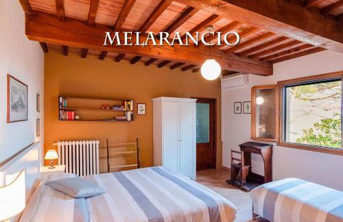 Agriturismo La Pineta - Foto 51