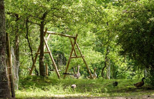 Casa da Eira "Lavoura da Bouça - Fruta Bio" - Foto 66