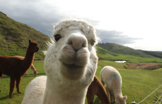 Seafarers Getaway - Photo 31