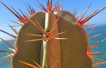 Ático dúplex - 1ª Linea playa - Foto 9