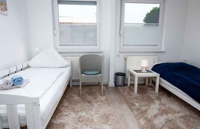 Kegelrobbe - Foto 22