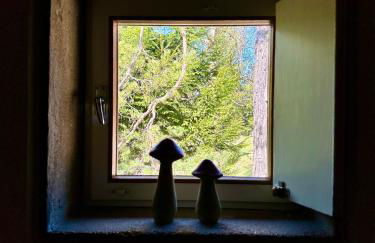 Ca'Mugo, a chalet in the magic woods, near Cortina - Foto 13