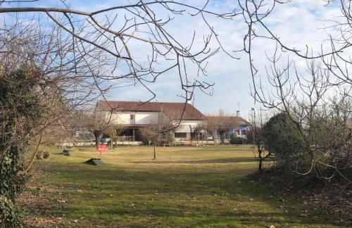 Agriturismo il Podere Vedelago con San Bernardo, Alpaca e una Pentola di cose da scoprire - Foto 68