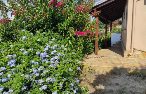 Aglaia House - Foto 3