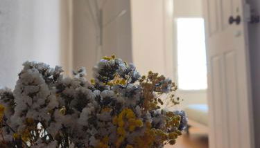 Casa do Adro - Foto 2