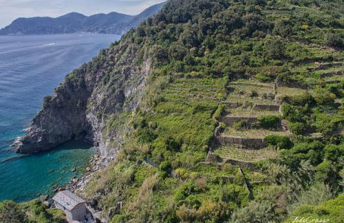 Marina di Corniglia Big Flat in 5 TERRE - Foto 32