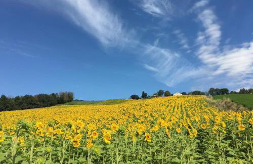 casale dei cinque colli APPARTAMENTO - Foto 6