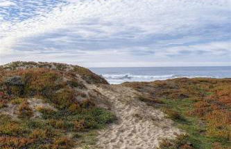 Paseo Del Mar - Foto 28