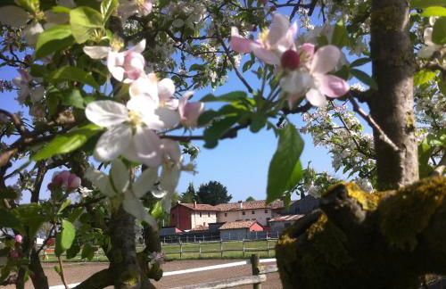 Agriturismo Al Casale - Foto 17