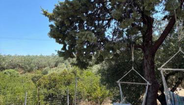 Real Holidays Antoniadou - Rustic House - Foto 3