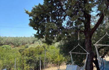 Real Holidays Antoniadou - Rustic House - Foto 3