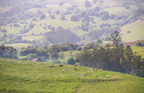 La Casona de Obdulia II - Foto 25