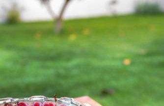 Chronis Family Villas - Foto 9