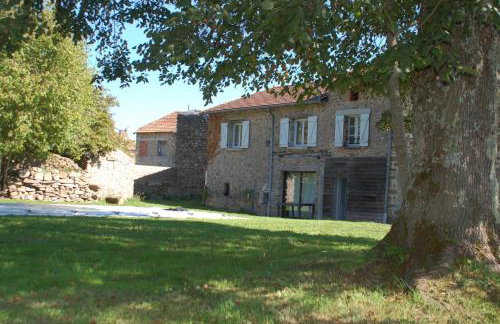 Le vieux tilleul - Foto 3