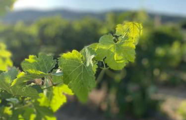 Superbe maison de village et sa terrasse panoramique - Foto 20