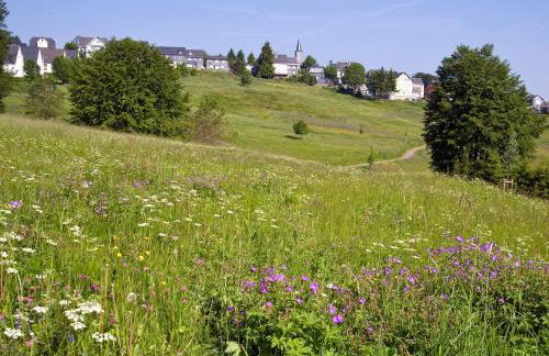 Panoramaferienwohnung Bergwiese - Foto 16