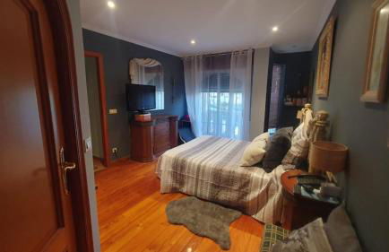 Vigo Barreiro - Foto 8