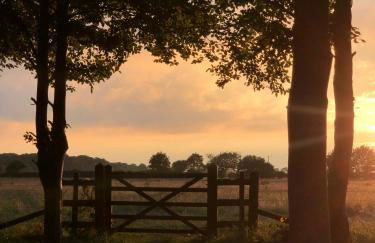 The Hat's Hut - Foto 12